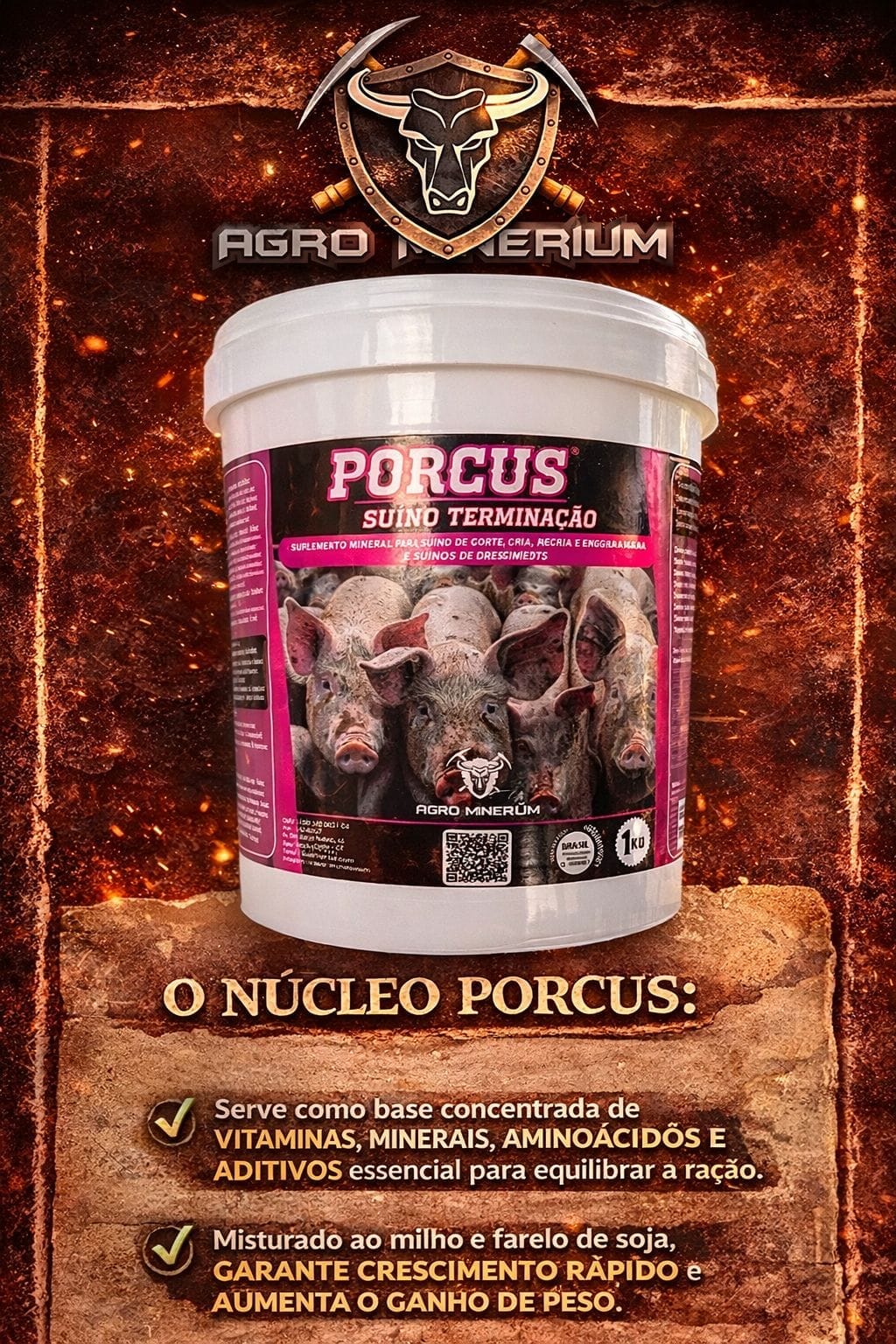 Porcus Suíno Terminação